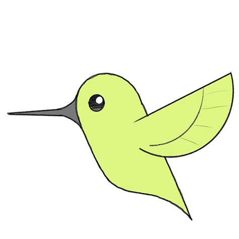 How to Draw a Hummingbird for Kindergarten - Easy Drawing Tutorial