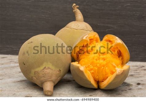 166 Quararibea Cordata Images, Stock Photos, 3D objects, & Vectors | Shutterstock