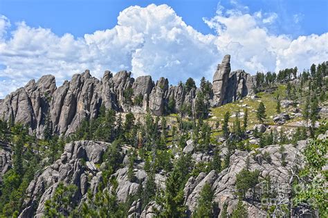 Needles Highway, Black Hills Photograph by Catherine Sherman - Fine Art America