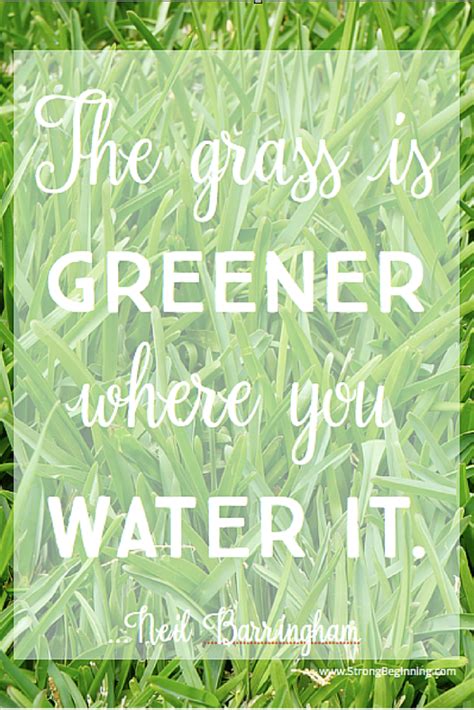 The Grass Is Greener Where You Water It - Strong Beginning