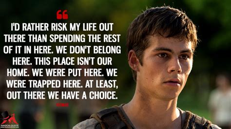 The Maze Runner Quotes - MagicalQuote