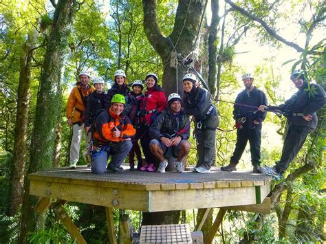 Ziplining! Rotorua, New Zealand - Discovering New Skies