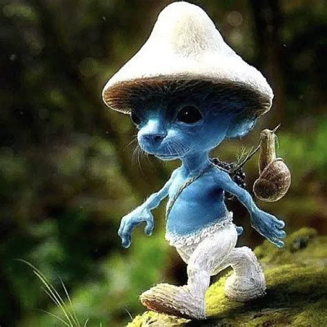 Who Created Smurf Cat? The Fascinating Story Behind The Viral Sensation