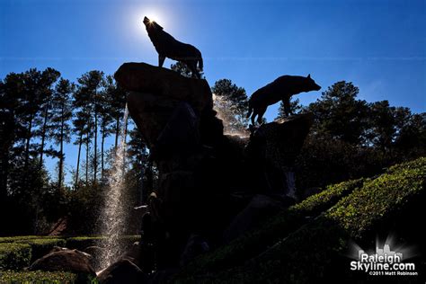 NC State Wolfpack Statue and fountain at Carter Finley Stadium ...