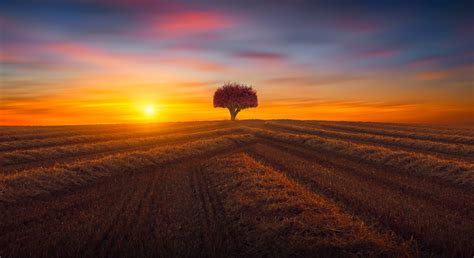 Sunset Field Wallpaper 4685x2556 57102 - Baltana