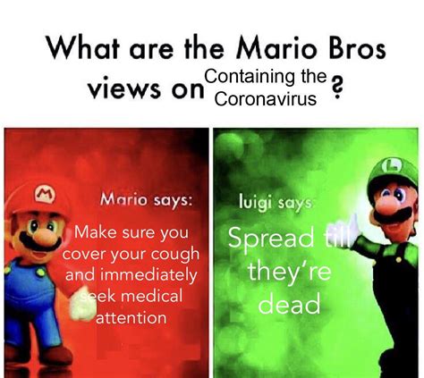 Mario and Luigi’s views on the Coronavirus : r/memes