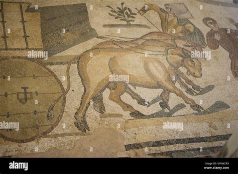 mosaic floor of a Roman villa Stock Photo - Alamy