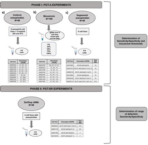 Genes | Free Full-Text | Optimized NGS Approach for Detection of Aneuploidies and Mosaicism in ...