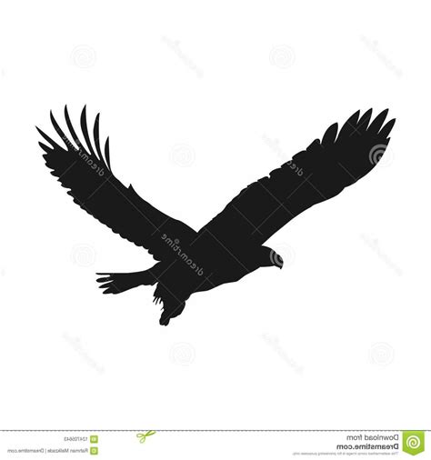 Flying Eagle Vector at Vectorified.com | Collection of Flying Eagle Vector free for personal use