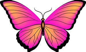 Butterflies Clipart Pictures – Clipartix