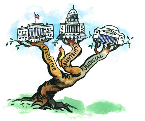 legislative branch Branches of government on emaze jpg – Clipartix