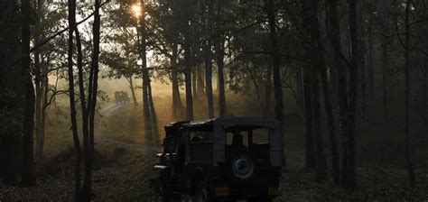 Experience the Thrill of Wild Safari in Kabini - Book Now!