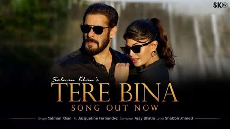 तेरे बिना Tere Bina Lyrics In Hindi - Salman Khan