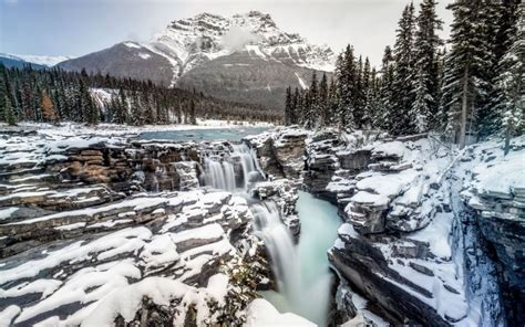 Athabasca Falls: An Absolute Highlight Of Jasper National Park