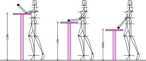 Body measurements & table/chair height