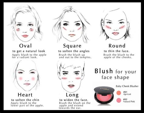 19 Blush, Bronzer, And Highlighter Tips Every Beginner Should Know ...