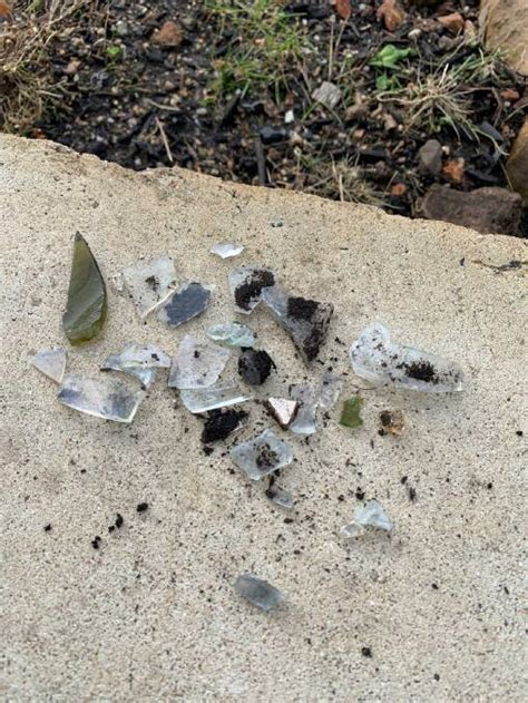 Glass shards found in FOGO compost after spreading on family lawn | Bega District News | Bega, NSW