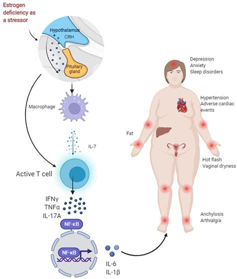 Frontiers | Neuro-immune-endocrine mechanisms with poor adherence to ...