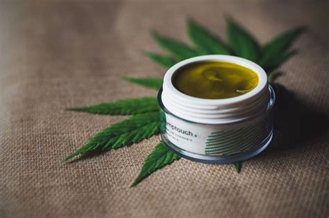 Topical Cannabis: How and Why to Use Them – Greeley Gallery