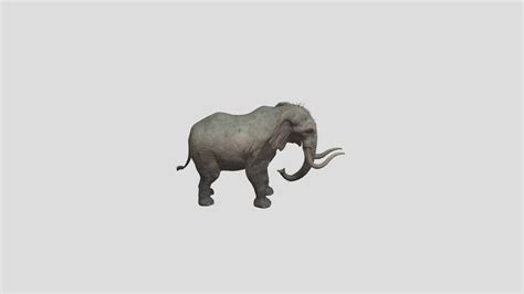 Elephant - Download Free 3D model by freddy1231 [71e67ef] - Sketchfab