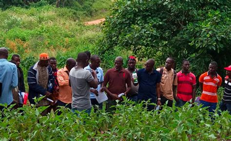 Training young farmers in green farming techniques - cidr pamiga