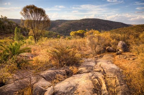 Avon Valley National Park - Unamed Road, Avon Valley National Park WA 6073, Australia