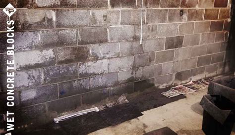 How To Seal A Cinder Block Basement Wall - Openbasement