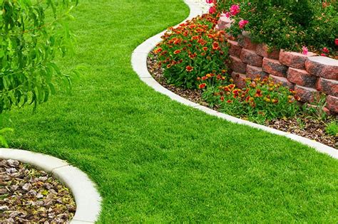 23 Cheap & Amazing Garden Edging Ideas You Can Try | Trees.com