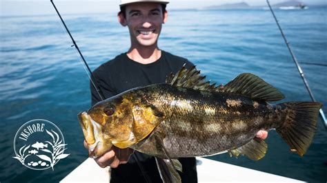 10 Easy Calico Bass Recipes for Delicious Homemade Meals