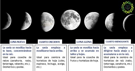 Fases De La Luna 2023 Argentina - IMAGESEE