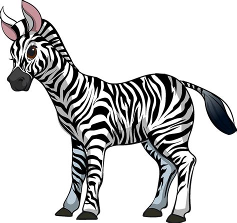 Zebra clipart - generatormoli