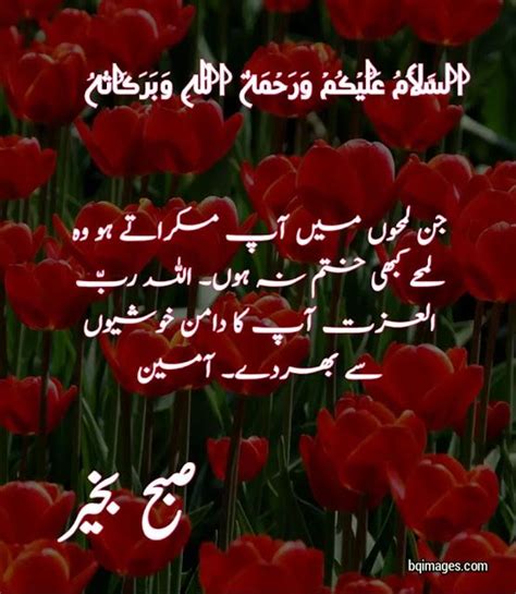 subha bakhair images in urdu in 2022 | Good morning wishes, Beautiful pictures with quotes, Good ...