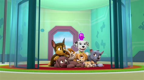 Watch PAW Patrol Season 3 Episode 19: Pups Get Growing/Pups Save a ...