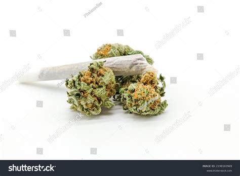 Marijuana Cigarette Joint Weed Marijuana Buds Stock Photo 2198183969 ...