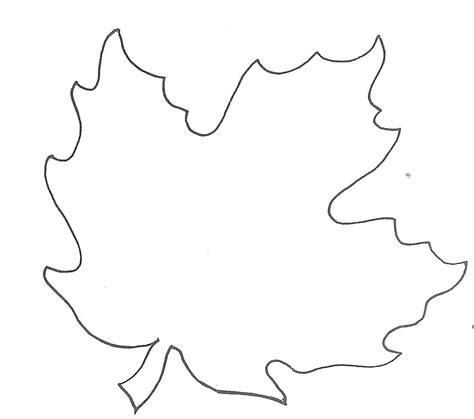 Maple Leaf Drawing Template | Free download on ClipArtMag