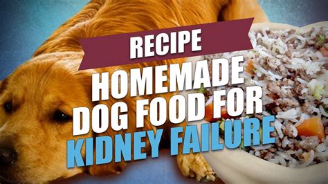 Vet Approved Homemade Dog Food Recipes For Kidney Disease - KALECOQ