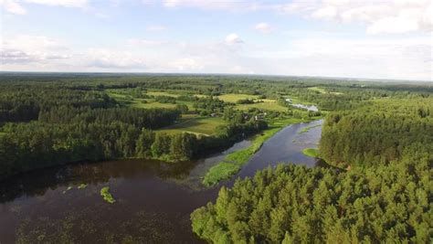 Stock Video Clip of Amazing european belarusian wild nature. Beautiful ...