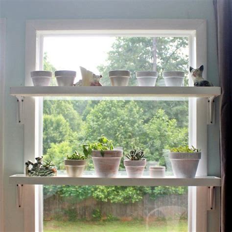 Easy tutorial to make these shelves to grow plants in a sunny window ...