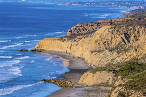 Torrey Pines State Natural Reserve | La Jolla, USA Attractions - Lonely Planet