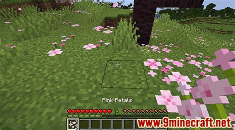 Pink Petals - Wiki Guide - 9Minecraft.Net