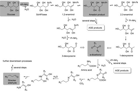 Control of Maillard Reactions in Foods: Strategies and Chemical ...