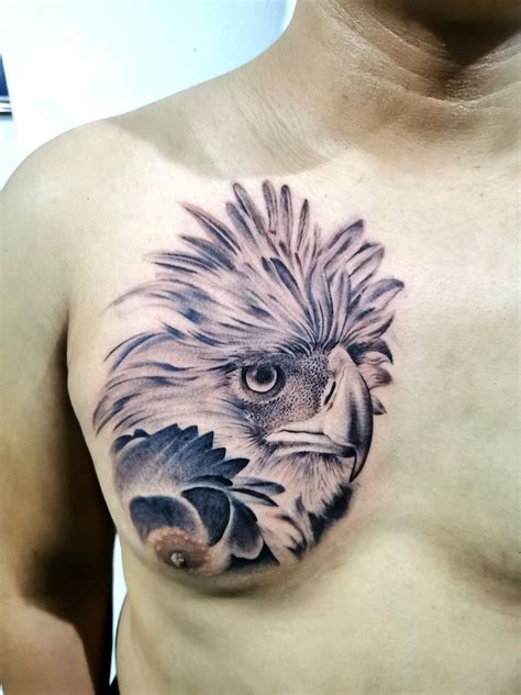 Philippine Eagle Tattoo | Eagle drawing, Eagle tattoo, Philippine eagle