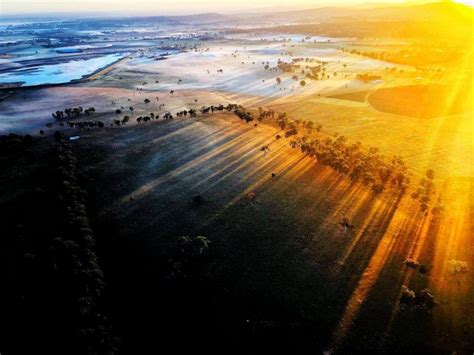 Things to do in Gold Coast Hinterland- Visit a 23 million year old forest - Lakshmi Sharath