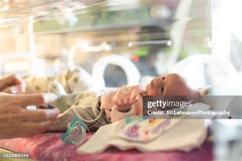 Twins Incubator Photos and Premium High Res Pictures - Getty Images