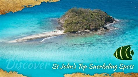 Best Snorkeling on St John : On-Island Times US Virgin Islands