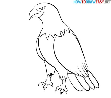 How to Draw an Eagle Easy - How to Draw Easy | Eagle drawing, Eagle drawing easy, Eagle painting