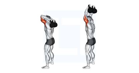 Kettlebell Overhead Triceps Extension - Guide, Benefits, and Form