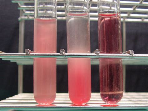 Plasma | Definition, Function, & Composition | Britannica