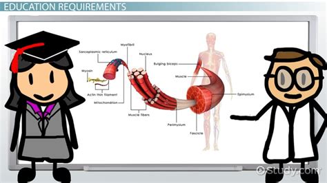 How to Become a Surgeon: Education & Requirements