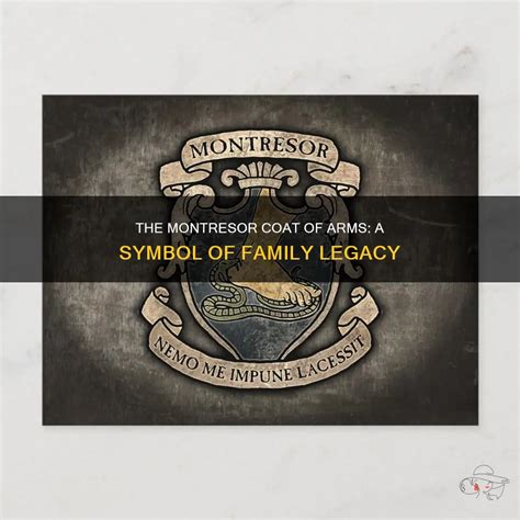 The Montresor Coat Of Arms: A Symbol Of Family Legacy | ShunVogue